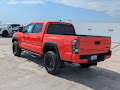 2023 Toyota Tacoma TRD Pro
